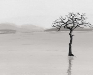 digital painting of a single tree in a lake, monochrome, moody