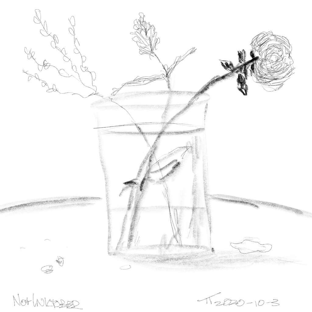 digital sketch of a vase, with water, and three flowers