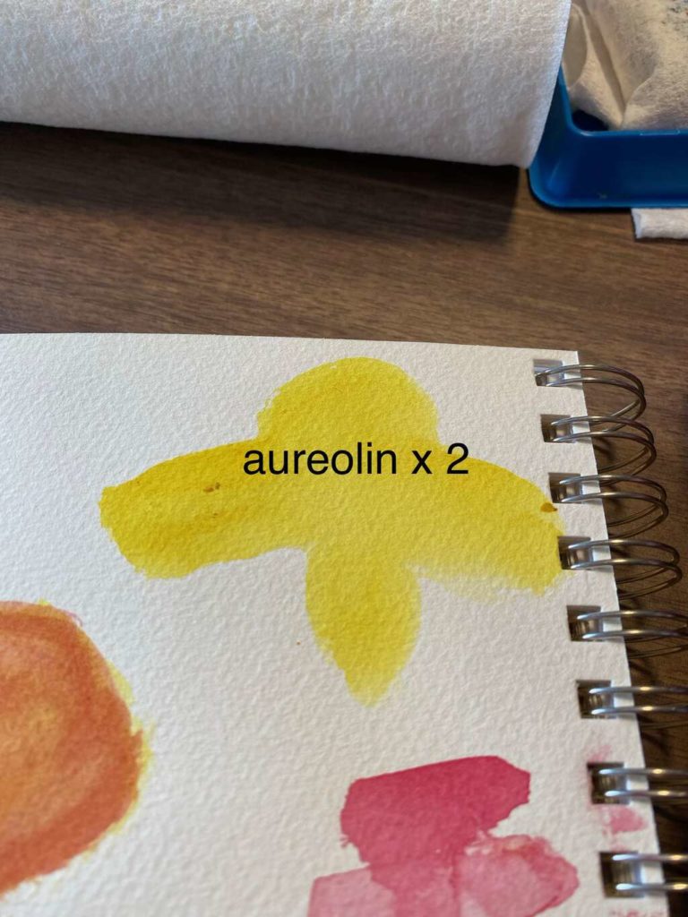 Laying a base with 2 layers of light diluted aureolin
